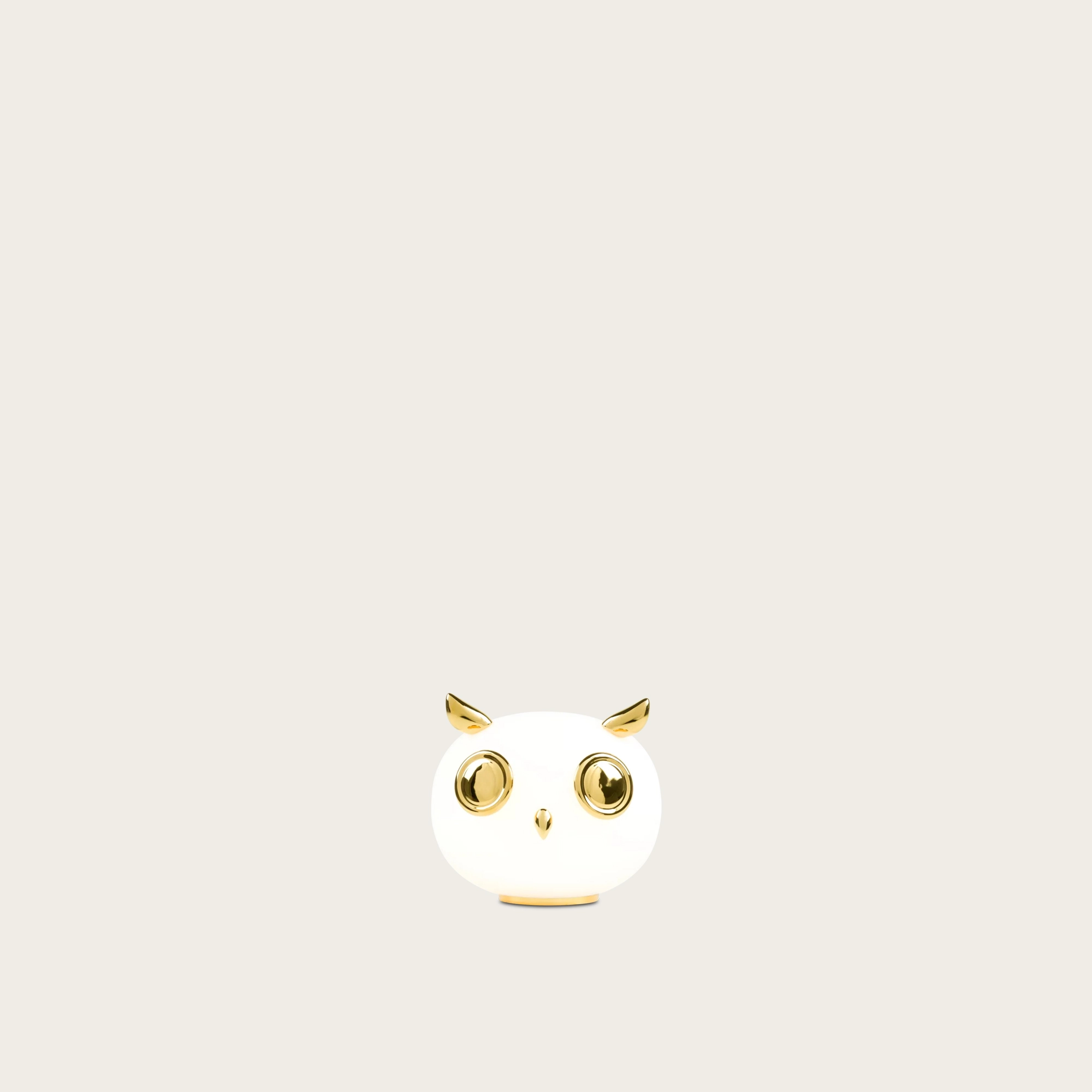 Pet-Light-Uhuh.jpg