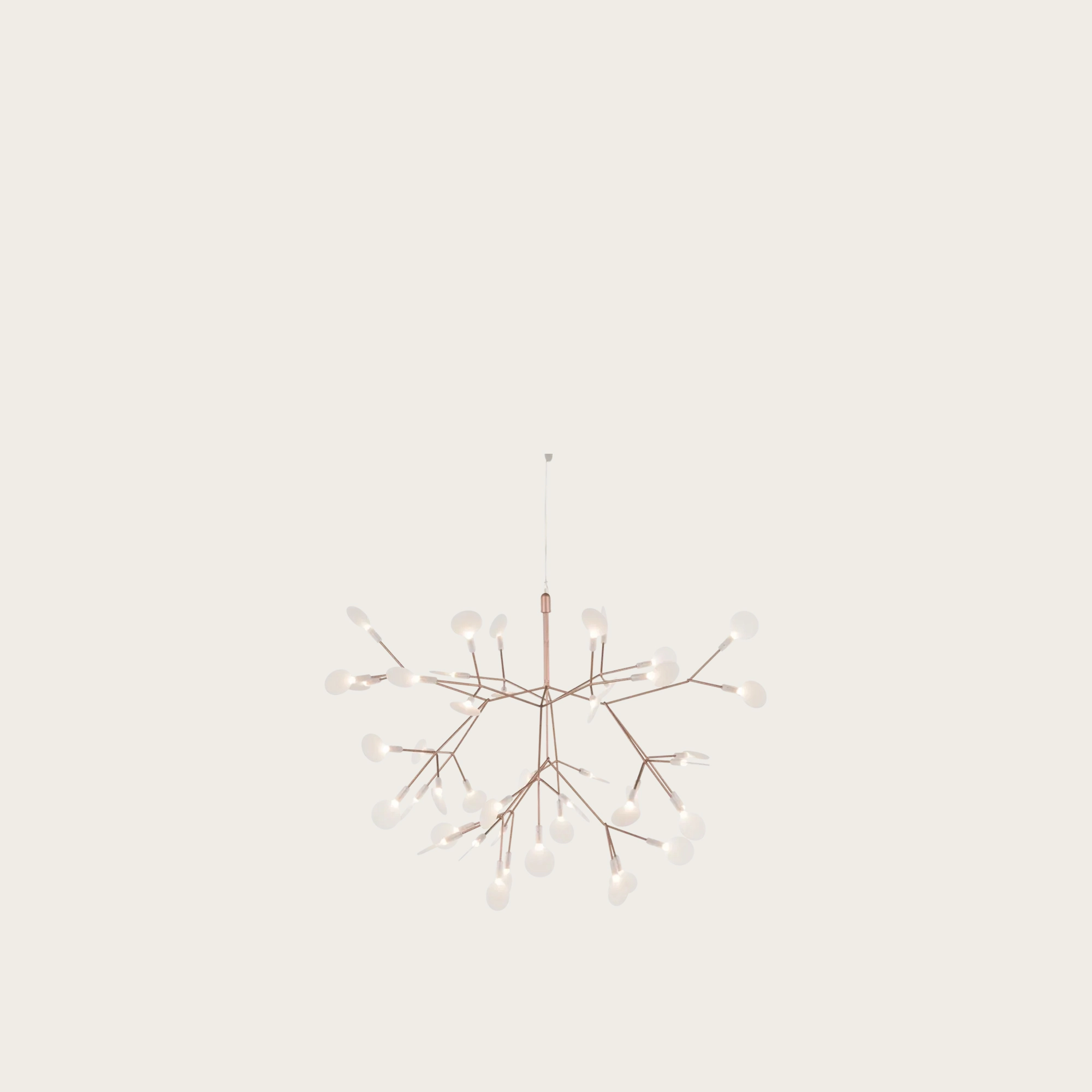 Heracleum-III_PEQUENO-COBRE.jpg