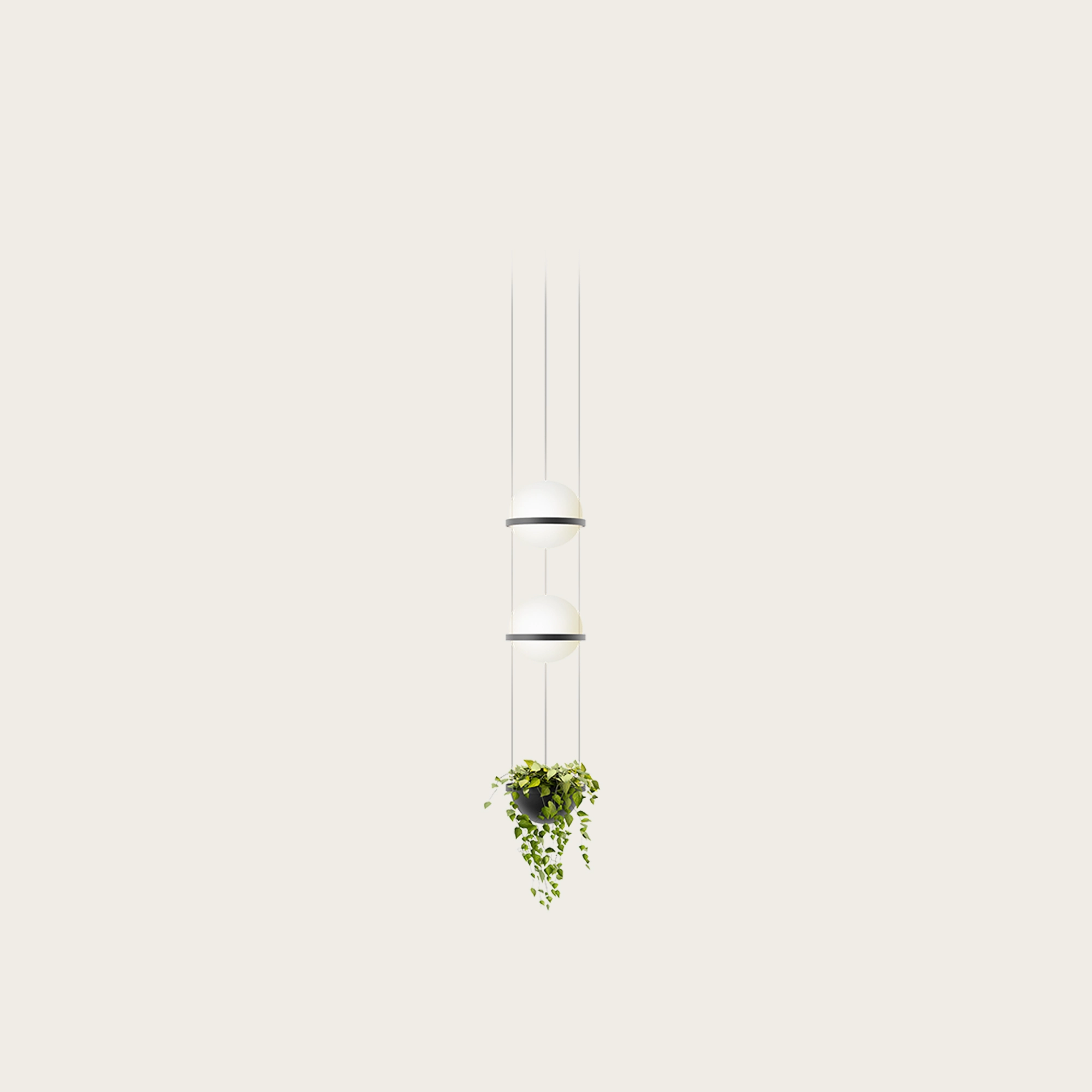 PLAMA-VERTICAL-VASO-PRETO.jpg