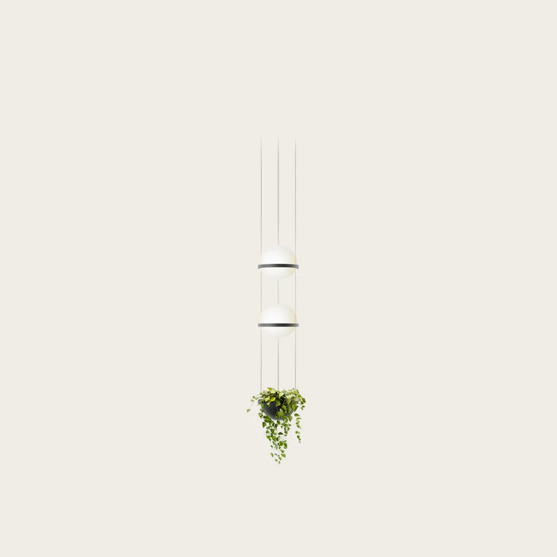 PLAMA-VERTICAL-VASO-PRETO.jpg